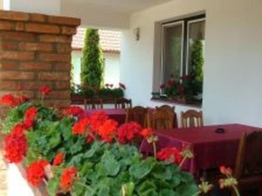 Verba Tanya Acomodação com café da manhã Kotaj Exterior foto